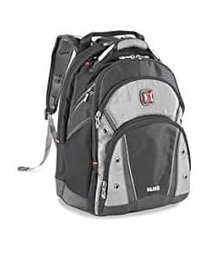 Amazon.com: Swiss gear Synergy Pro Laptop BackPack