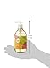Amazon Brand - Presto! Biobased Hand Soap, Wild Citrus Scent, 12 Fl Oz (Pack of 6)