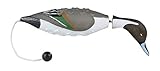 Avery Sporting Dog EZ Bird Trainer,Pintail 2030