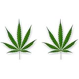 Amazon Com 大麻葉形花盆乙烯基轉印貼紙汽車窗戶保險桿模切5 英吋 約12 7 公分 優質uv 層壓醫療娛樂合法化 5 英吋 約12 7