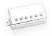 Seymour Duncan SH-PG1n Pearly Gates Neck Pickup, Nickel Cover