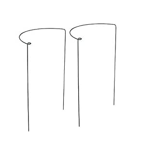 TREA2SURE - 2 Anillos de Soporte de Metal para Plantas de ...