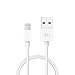 ZMI [3.3ft] Lightning Cable/iPhone Charge Cable Charger Cord, MFi for iPhone 8/8 Plus/X/XS/XS Max/XR/7/7 Plus/SE/6/6 Plus/6S/6S Plus/5/5C/5S, iPad/iPad Mini/iPad Air, iPod Touch/Nano