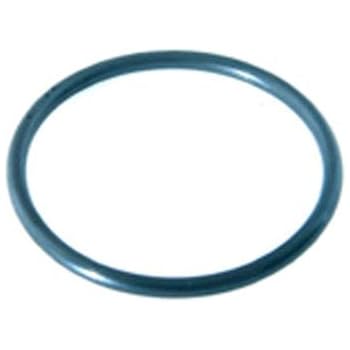 Amazon.com : Hayward TriStar Pool pump Lid O-ring SPX3200S