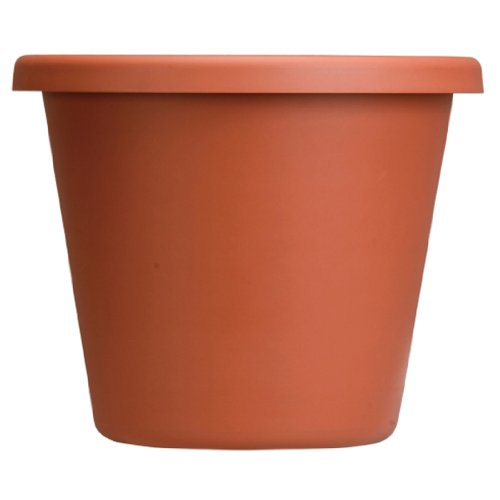 Akro Mils LIA12000E35 Classic Pot, Clay Color, 12-Inch