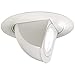 Juno Lighting 449-WH 4-Inch Aiming Elbow Recessed Trim, White