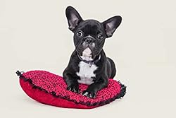 Kate Seamless Paper Backdrop for Photography Beige