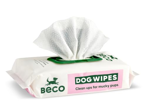 Beco Dog Wipes, Coconut Scented Grooming Wipes, Plant-Based, 1 Pack of 80
