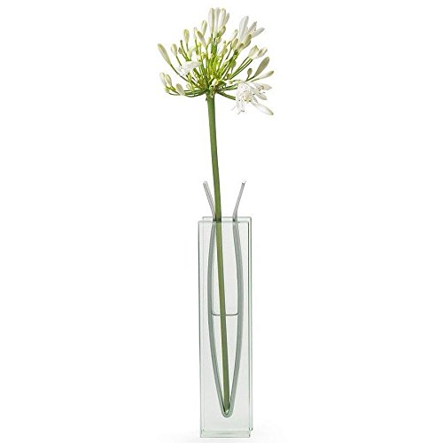 Tall Ribbon Vase MoMA Exclusive