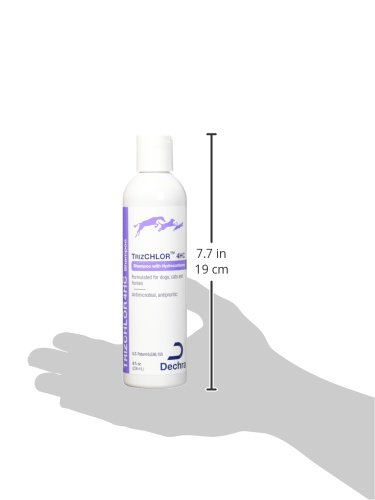 Dechra Trizchlor 4hc Shampoo Oz Desertcart Seychelles
