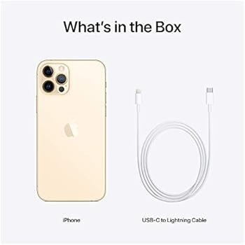 Apple Iphone 12 Pro With Facetime 128gb 5g Gold International Version Buy Online At Best Price In Uae Amazon Ae