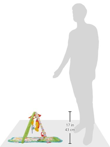 fisher price 3 in 1 activity gym