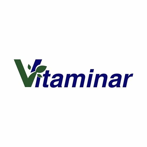 Vitamina C + Zinco 30mg - Vitaminar com 120caps
