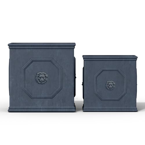 Kante Lion Head Square Concrete Planter Set of 2, 10 and 12.5 Inch Large Plant…