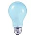Bulbrite 616372 - 72A19FR/N/ECO 2PK Standard Daylight Full Spectrum Light Bulb