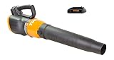 WORX WG546.2 Turbine 20V PowerShare 2-Speed Cordless Battery-Powered Leaf Blower with 2 Batteries