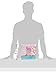 Spasilk 3 pack Soft Terry Hooded Towel Set, Pink