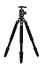 Induro Tripods GTT204M2 No. 2 Stealth Carbon Fiber Tripod Kits, 4 Sections (Black)