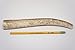 ONE (1) Extra Large Sized Elk Antler Chew Bone for Large Dogs, 9