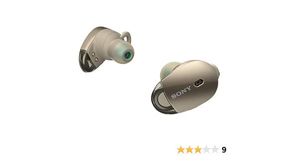 Sony WF-1000X Wireless Bluetooth 