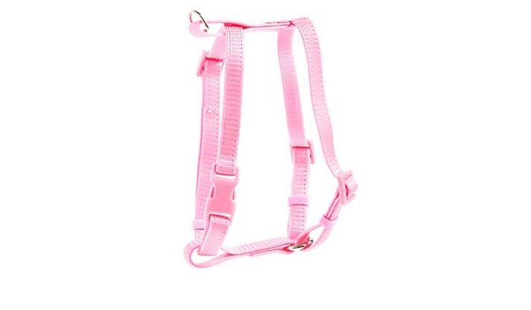 grreat choice step in harness