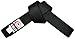 FUJI – Sports Belt, All-Purpose Durable Martial Arts, Judo, MMA, and Karate Belt