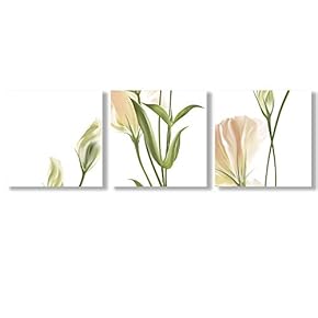 Canvas Wall Art Beautiful Flowers Collections...