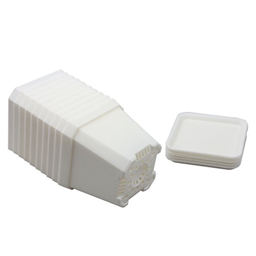 BangQiao 3.90 Inch Plastic Flower Pots for Plants,Cutting,Seedlings, Pack of 10 (white)