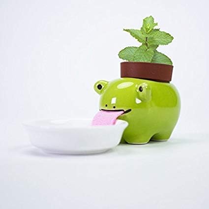 Mini Potted Plants, QSJi Peropon Drinking Animal Planter Cute Style Ceramic Mini Plant Pot Self Watering Planters Critters Ceramic Creatures (Frog)