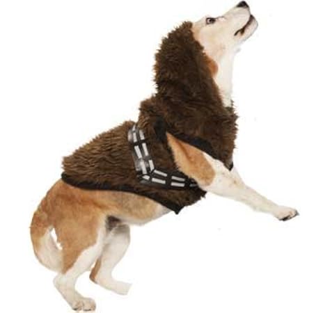 service dog in training vest petco