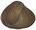 Goldwell Topchic Hair Color, #6nn Dark Blonde/Extra, 2.03 Oz