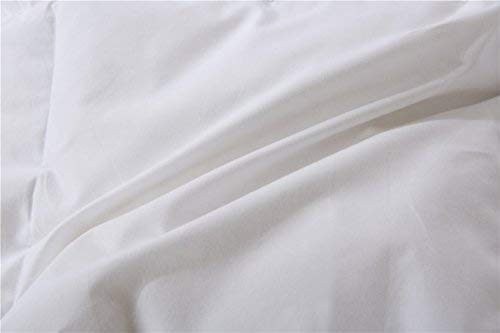 SHEONE All Seasons Lightweight White Goose Down Comforter-650 Fill Power-100% Cotton Shell Down Proof-Solid White Hypo-allergenic Duvet Insert With Tabs (Queen)
