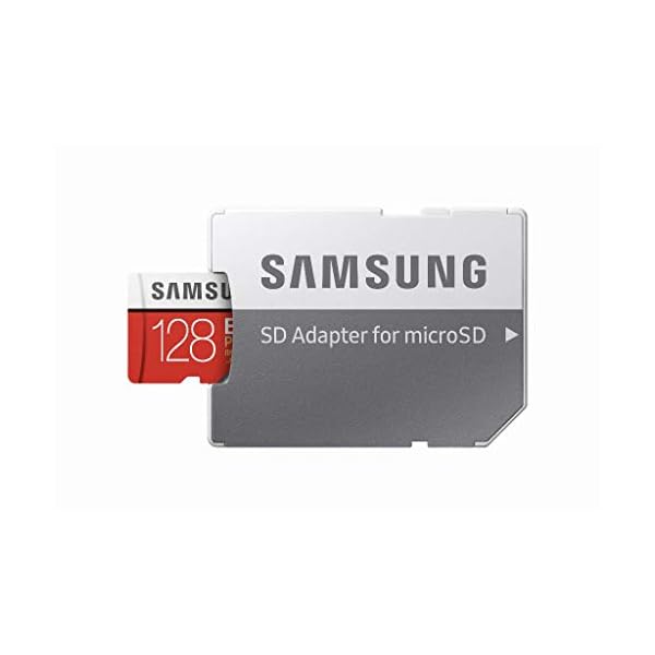 MicroSDXC with SD Adapter