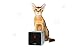 Petcube First Generation Camera for Pets with HD 720p Video, Wi-Fi and Two-Way Audio