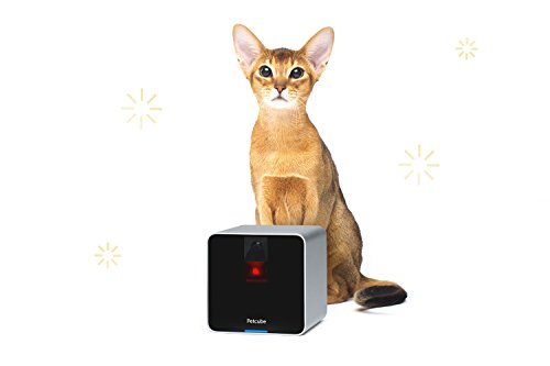 Petcube First Generation Camera for Pets with HD 720p Video, Wi-Fi and Two-Way Audio - Thumbnail 4