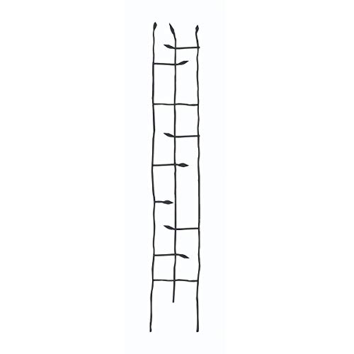 StarSun Depot 6-Ft High Narrow Garden Trellis in Metal Sprouting Twig Leaf