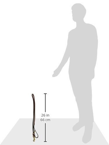 Mendota Products Leather Rolled Snap Lead, 3/4-Inch by 4-Feet, Chestnut