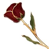 Allmygold Jewelers Burgundy Long Stem Dipped 24K Gold Trim Genuine Rose in GOLD Gift Box