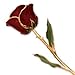 Allmygold Jewelers Burgundy Long Stem Dipped 24K Gold Trim Genuine Rose in GOLD Gift Box