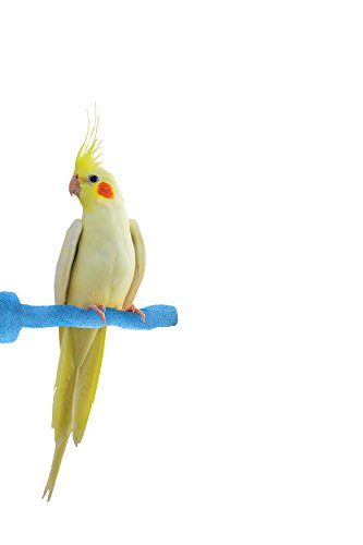 Sweet Feet and Beak Thermal-Lite Natural Patented Perch, X-Small - Blue- Perfect for Keeping your Bird's Feet and Beaks Healthy - Thumbnail 3