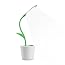 LumiSource LS-L-WOOPSY BU Desk Lamp, Blue - Desk Lamps - Amazon.com