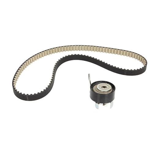 Dayco - correa de distribución