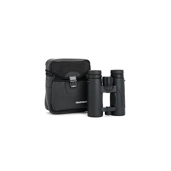Celestron 71370 Granite 9 x 33 Dachkant Fernglas – Bild 6