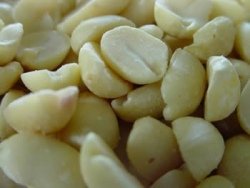 Erdnussbruch ,25 kg im Sack, 25.000g Gebinde Vogelfutter