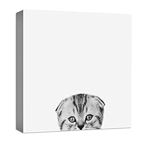 Canvas Wall Art Curious Pets Cat Black and White Painting Artwork for Home Prints Framed - 12x12 inches