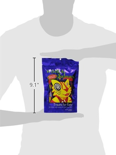 WildSide Salmon Cat Treats - 3 oz