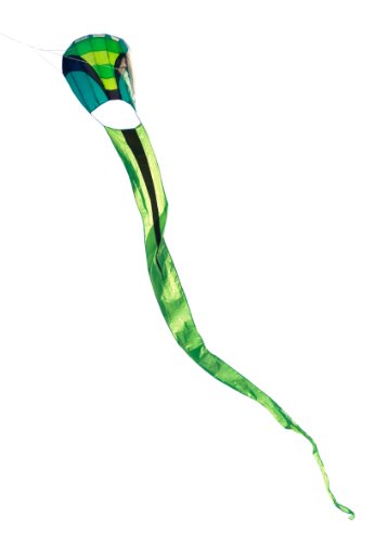 Prism Stowaway Parafoil Kite