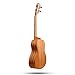 Afuaim Ukulele Soprano 21 Inch Mahogany Uke AUM-21M Ukulele Pack with Gig Bag