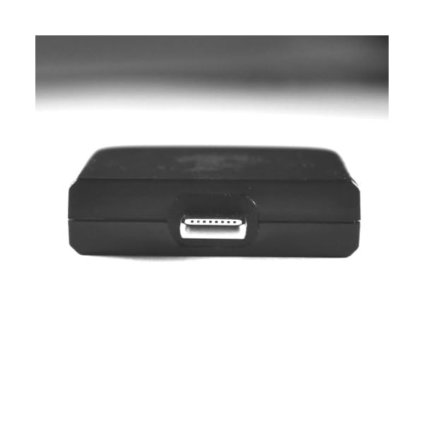 Bad-Elf-GPS-for-Lightning-Connector