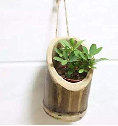 COIR GARDEN Bamboo Planter with Rope, 17-20cm, 1 Piece